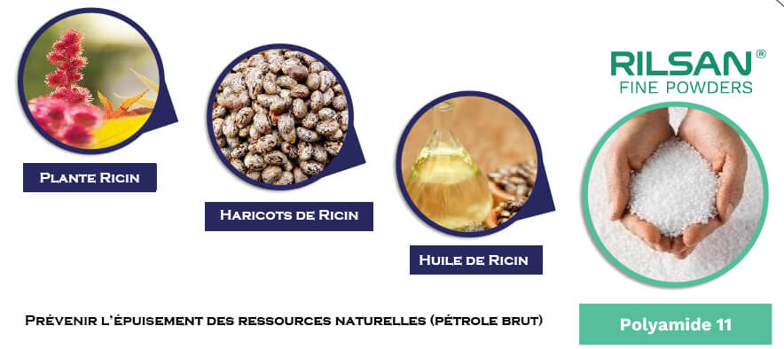 Ricin Haricot magique